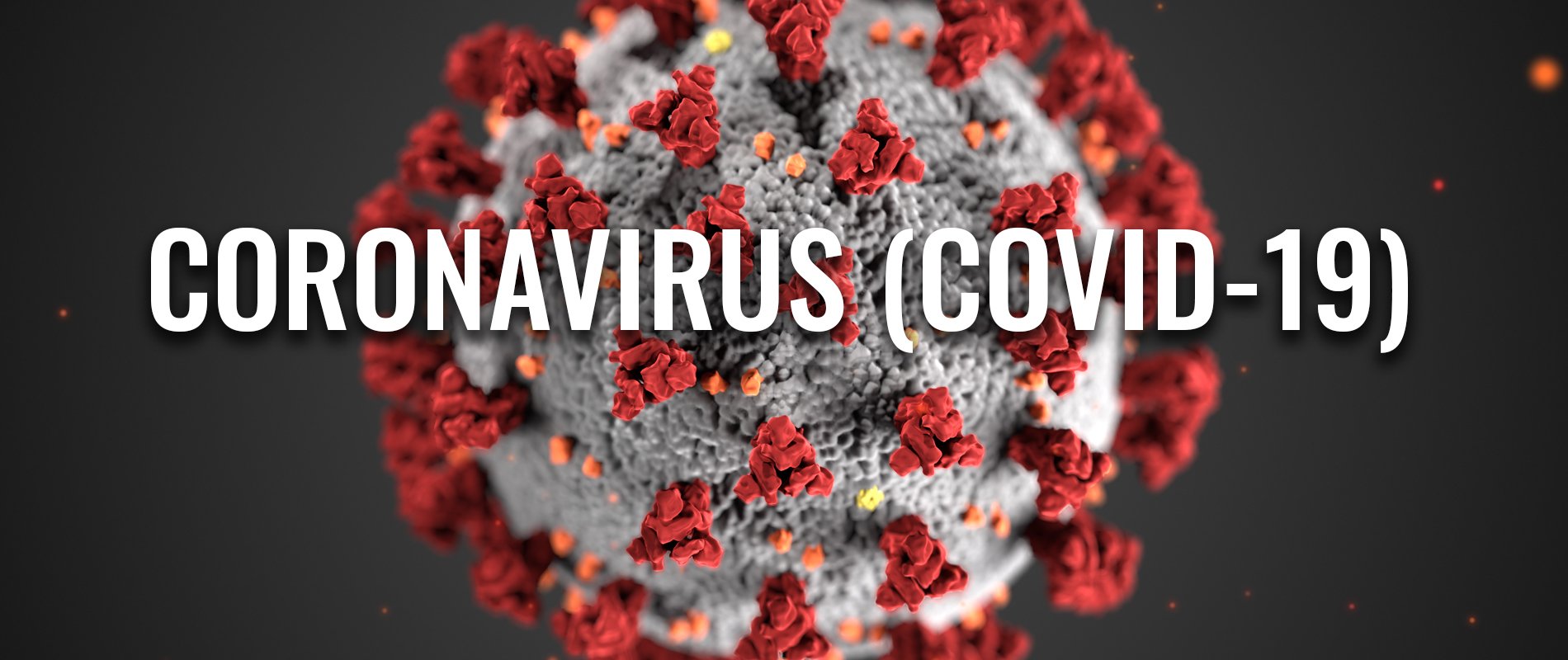 CoronaVirus